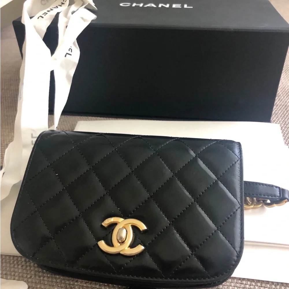 CHANEL Black Quilted Lambskin/ Suede Mini Belt Bag with Gold CC Hardware - Picture 14 of 16